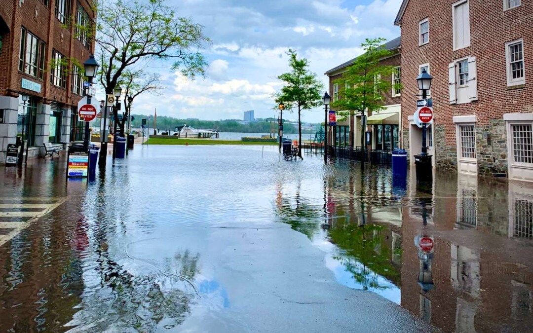 Prévention Inondations : Solutions, Aides et Assurances
